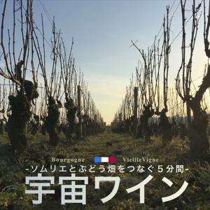 宇宙ワイン -ソムリエとぶどう畑をつなぐ５分間-