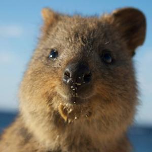 Faffin' About Podcast