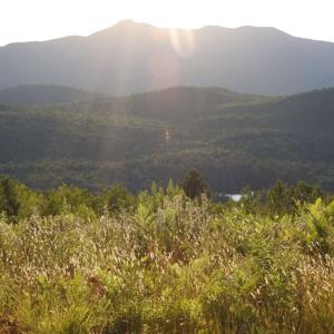Message from the Mountain