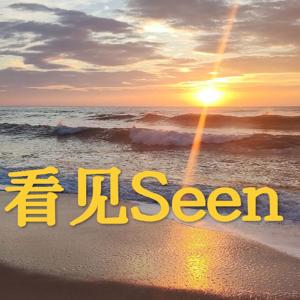 看见seen