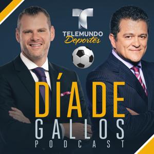 Día de Gallos