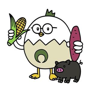 南のたまごが転がるように🥚🌴