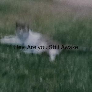 Hey, Are you still awake?