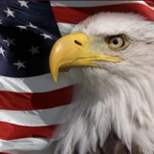 The Patriot Party: We put Truth, the Constitution and America First.