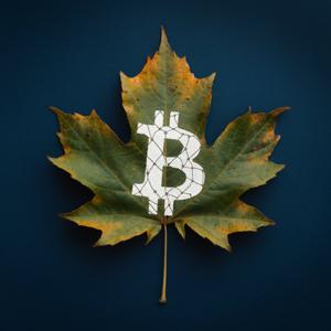Maple Bitcoin