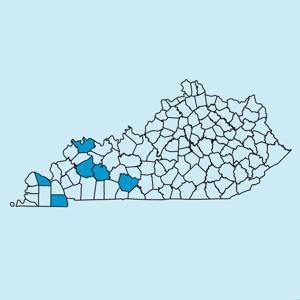 Western Kentucky Newspapers