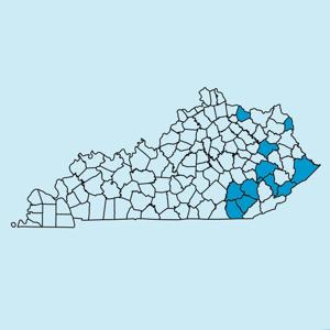 Eastern Kentucky Newspapers