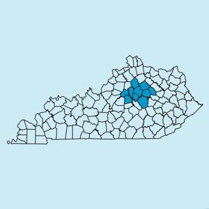 Lexington Newspapers