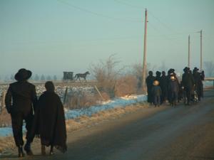 Anabaptist Theological Perspectives