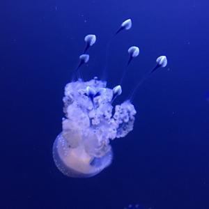 Breathing Under Water