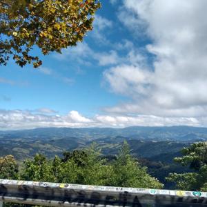 Palavras graciosas
