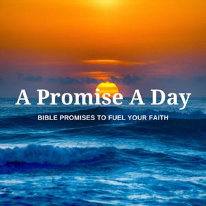 A Promise A Day