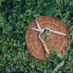 botanic life moments