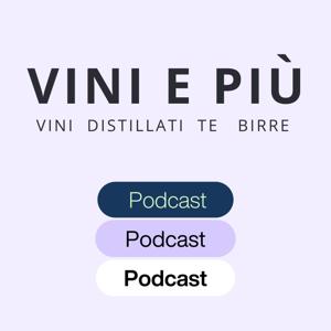 VINI E PIU'