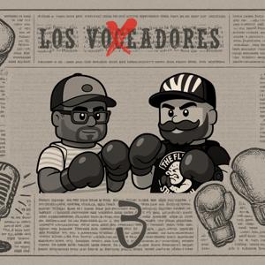 Los Voxeadores