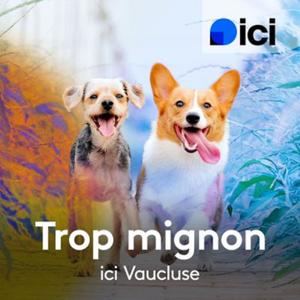 #TropMignon