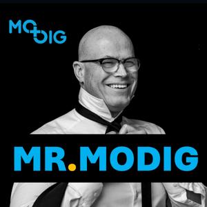 Mr.Modig