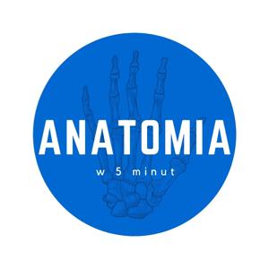 Anatomia w 5 minut