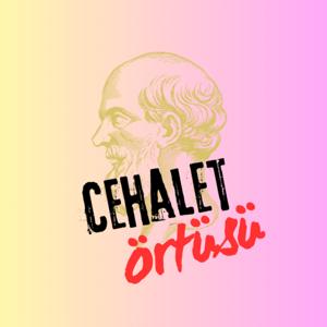 Cehalet Örtüsü