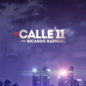 Calle 11