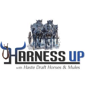 Harness Up! with Haste Draft Horses and Mules