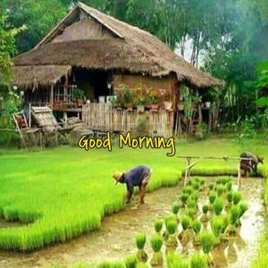 Islamic Forum Podcast