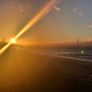 Hope-Scripture, Musings and Music