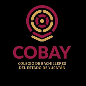 " conexión de redes  y topologías"