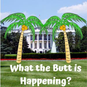 What the Butt is Happening?