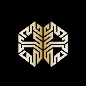 Big Brain MMA Podcast