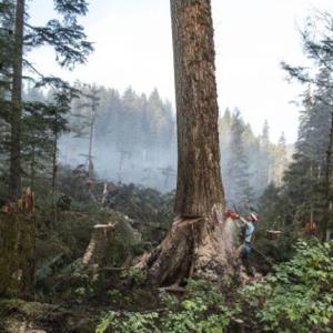 El podcast de Yahel Salgado Samano