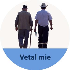 Vetal mie