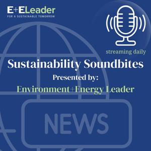 Sustainability Soundbites from E+E Leader