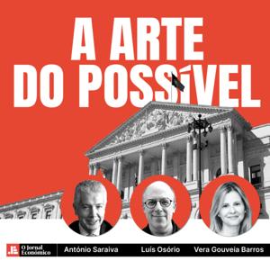 A Arte do Possível
