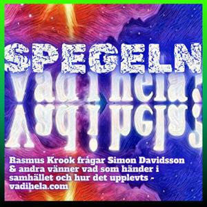 SPEGELN - av Vad i hela