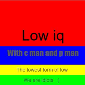 The low iq show bros