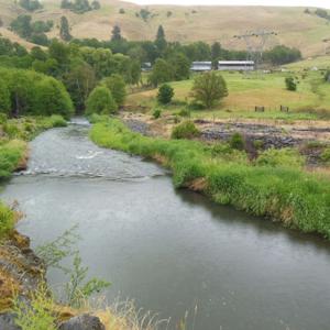 THE KLICKITAT VOICE