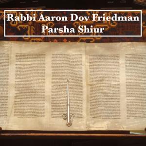 Rabbi Aaron Dov Friedman Parsha Shiur