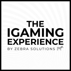 The iGaming Experience