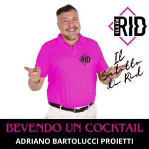 IL SALOTTO DI RID BEVENDO UN COCKTAIL