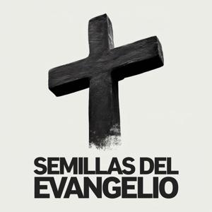 Semillas del Evangelio ✝️