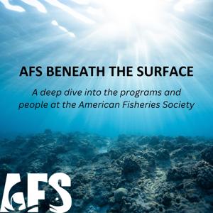 AFS Beneath the Surface