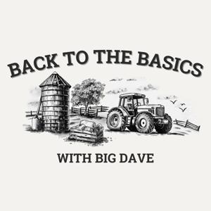 Back To The Basics