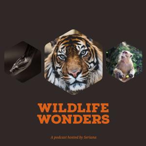 Wildlife Wonders