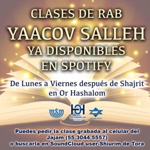 Shiurim de Torá