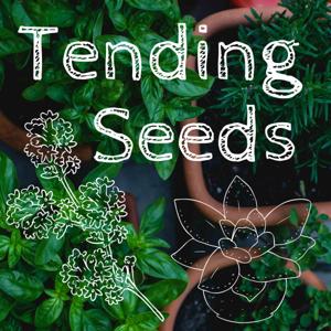 Tending Seeds: Adventures in Gardening, Homesteading, and Herbalism by Sara Schuster