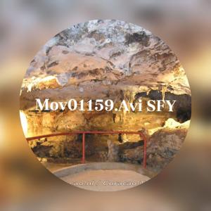 SFY/Mov01159.Avi-Edmart Martina🪨