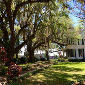 Live Southern