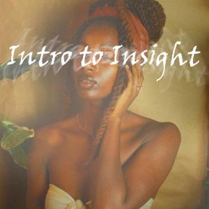 Intro to Insight