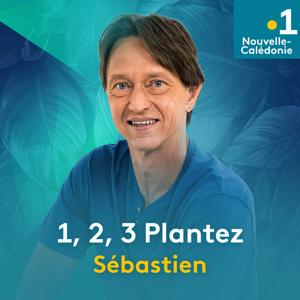 1, 2, 3 Plantez